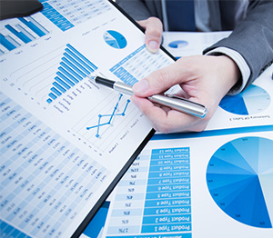 DRAFT DIRECTORS REPORT OF SMALL COMPANY